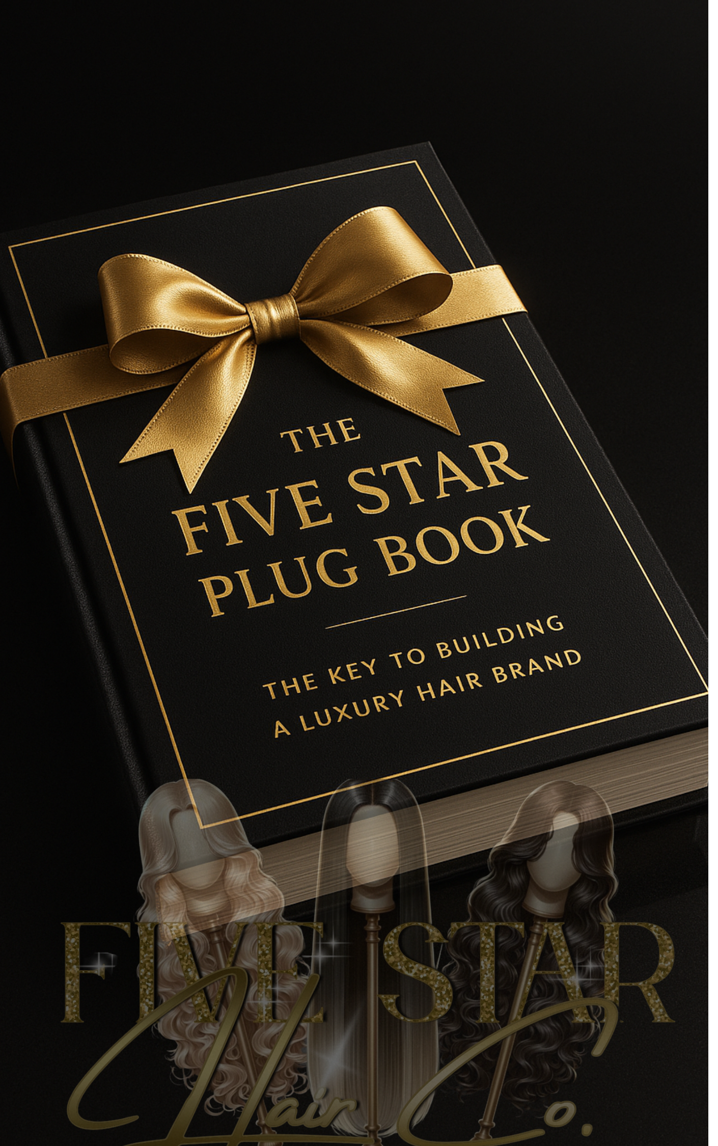 The Five Star Plug Book ⭐️